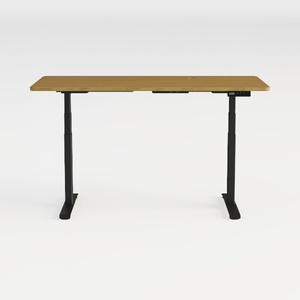 FLEXISPOT EN1 Whole-Piece Standing Desk 48 x 24