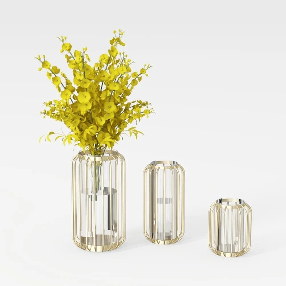 1 Set Of Gold/Black Wrought Iron Metal Vase Hydroponic Container Test Tube Vase Living Room Illustration Decoration