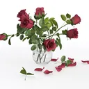 null Left 45 Degree View