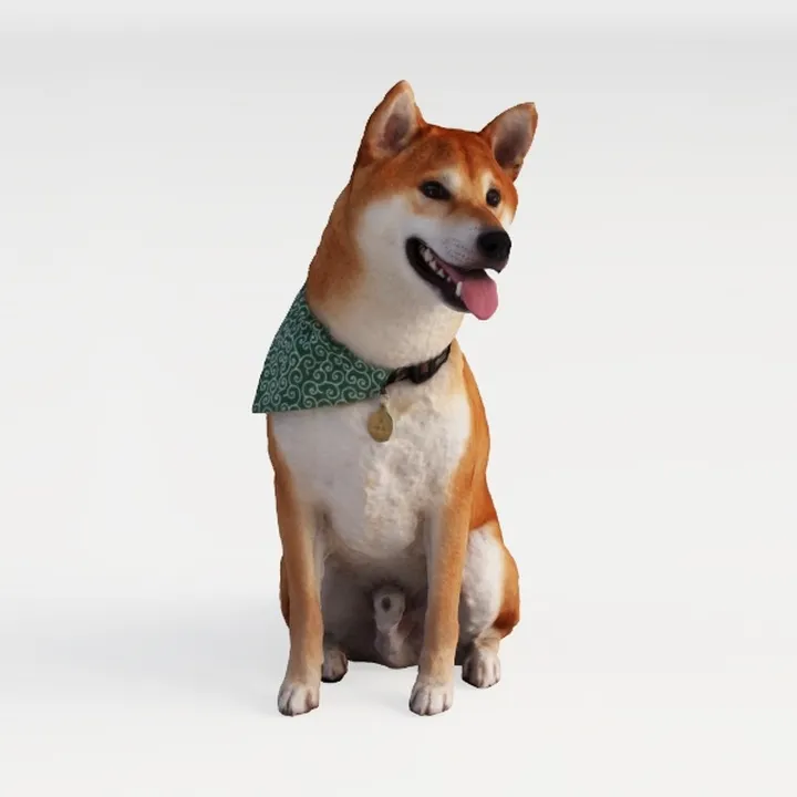 Open-air Cafe - Shiba Inu Dog 1