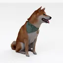 Open-air Cafe - Shiba Inu Dog 1 Right 45 Degree View