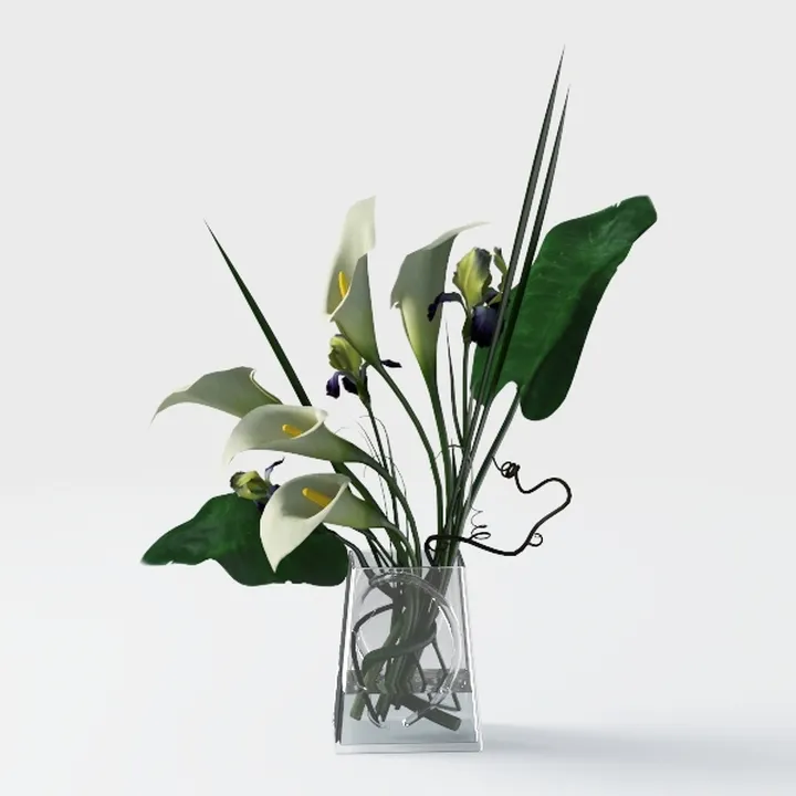 Costa Farms Peace Lily, Live Indoor Plant Delivery