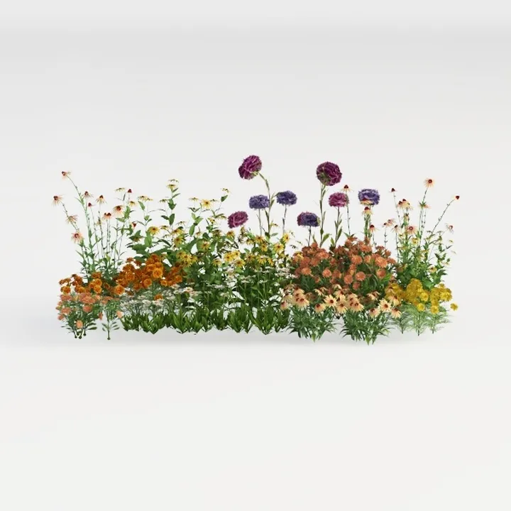 perennial border-Cozy Garden