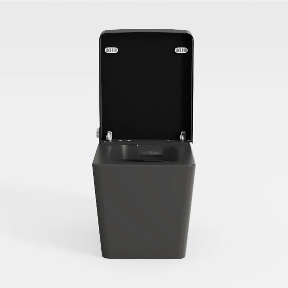 12"Rough-in Elongated Square One Piece Dual Flush