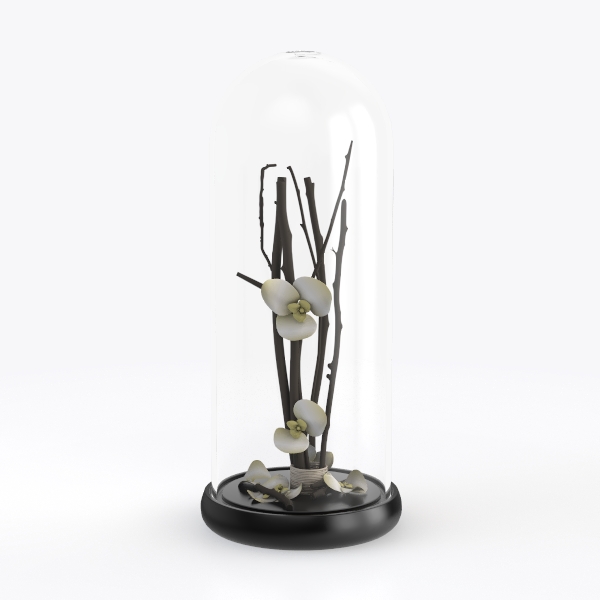 Children&#39;s Accessories 249