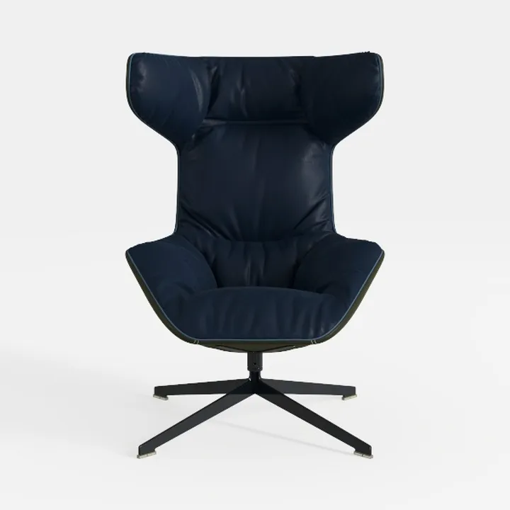 Electric Recliner Lift Chair with Power Lift Heat 