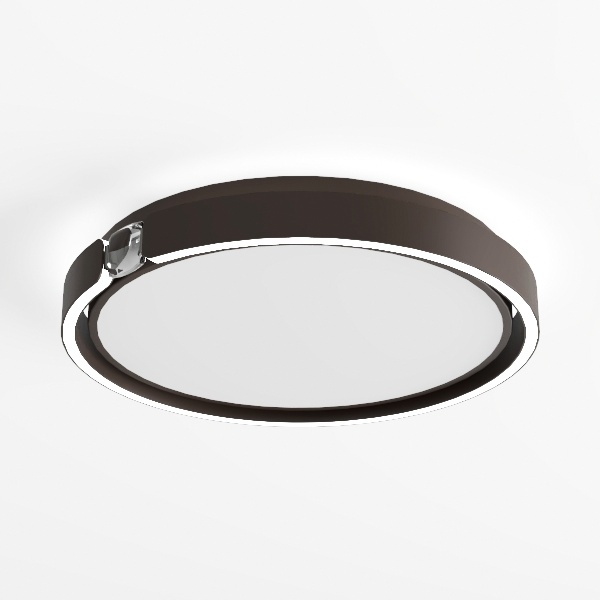 12 inch Flush Mount Ceiling Light, 2-Light Close