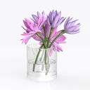 null Left 45 Degree View