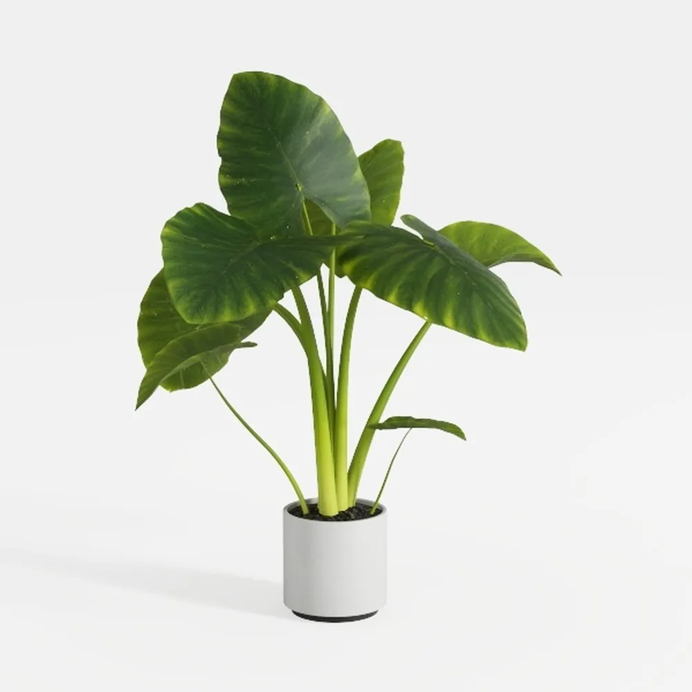 Artificial Bird of Paradise Plant 5FT Fake Palm