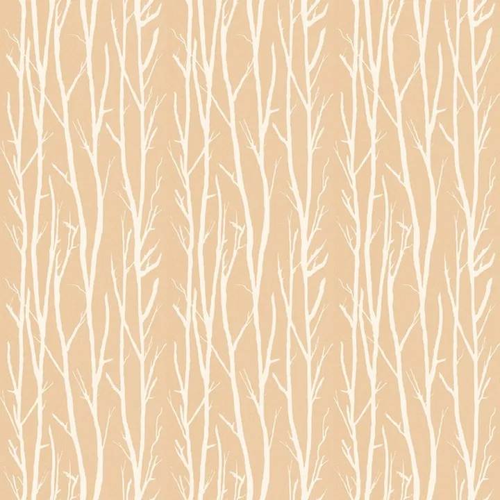 Plain_42