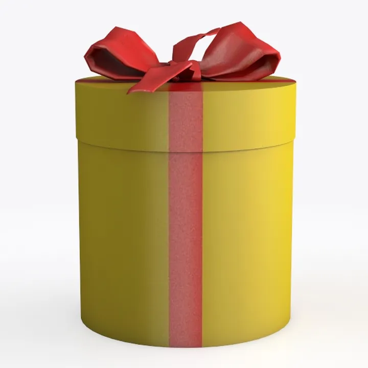 Gift wrapped box