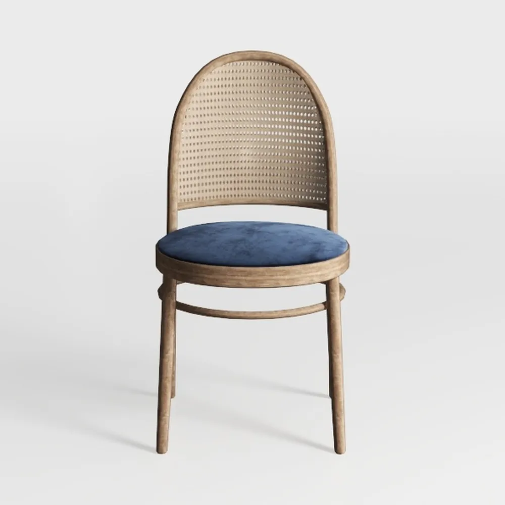 HEAH-YO Rattan Dining Chairs Set of 2, Upholstered