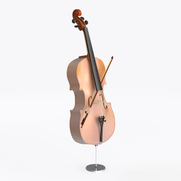 Musical Instrument 495