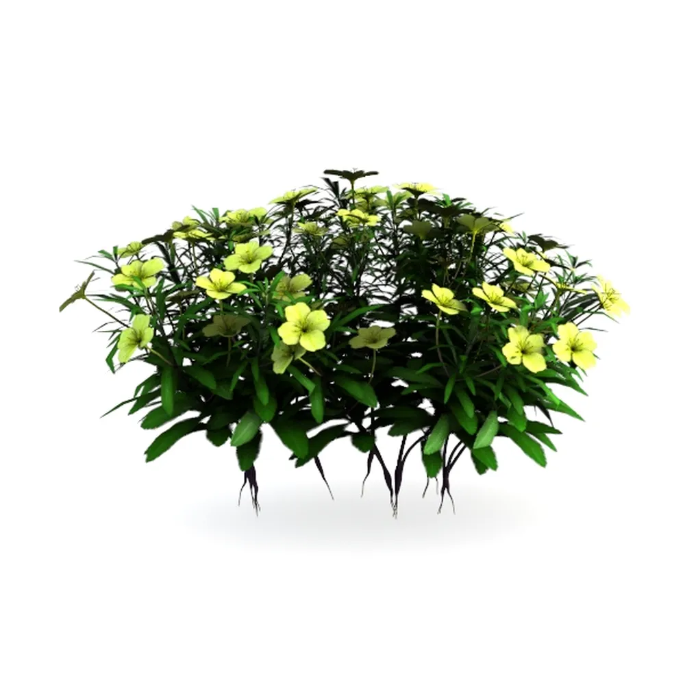 AMERICAN PLANT EXCHANGE Golden Pothos – 6-Inch Pot