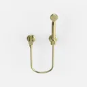 Polished Brass Wall Mount Handheld Shower 3D Model Right 45 Degree View