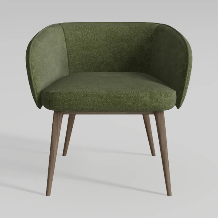 Accent Chairs Set of 2 Mid Century Modern Chair 
