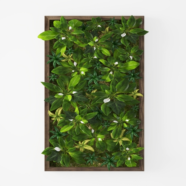 plant wall-Hanging Greens
