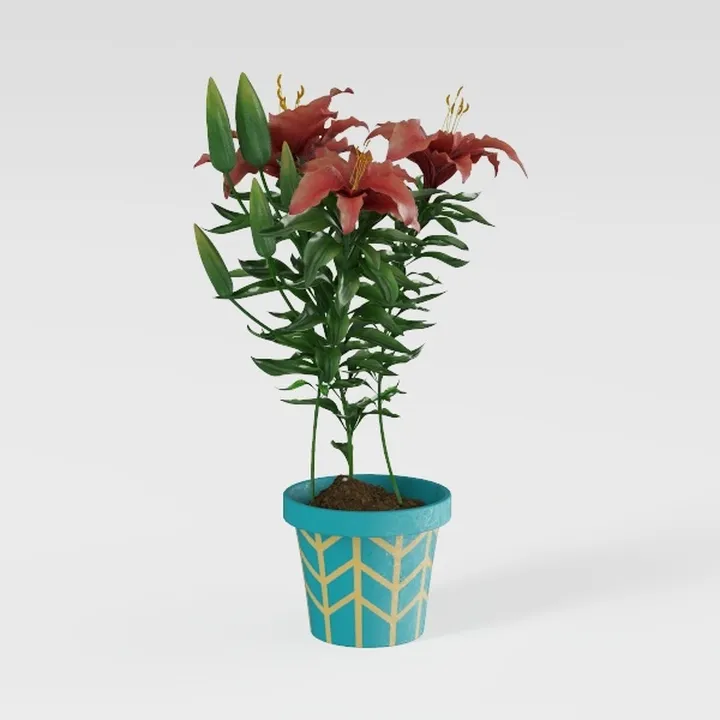 plant-Plantopia