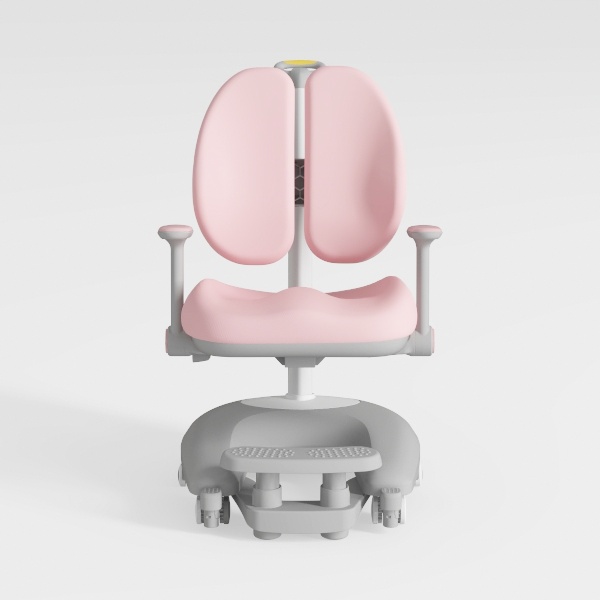 Ergonomic Office Chair with Lumbar Support, Adjust