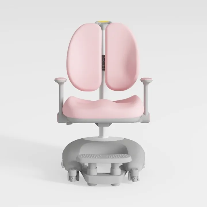 Ergonomic Office Chair with Lumbar Support, Adjust