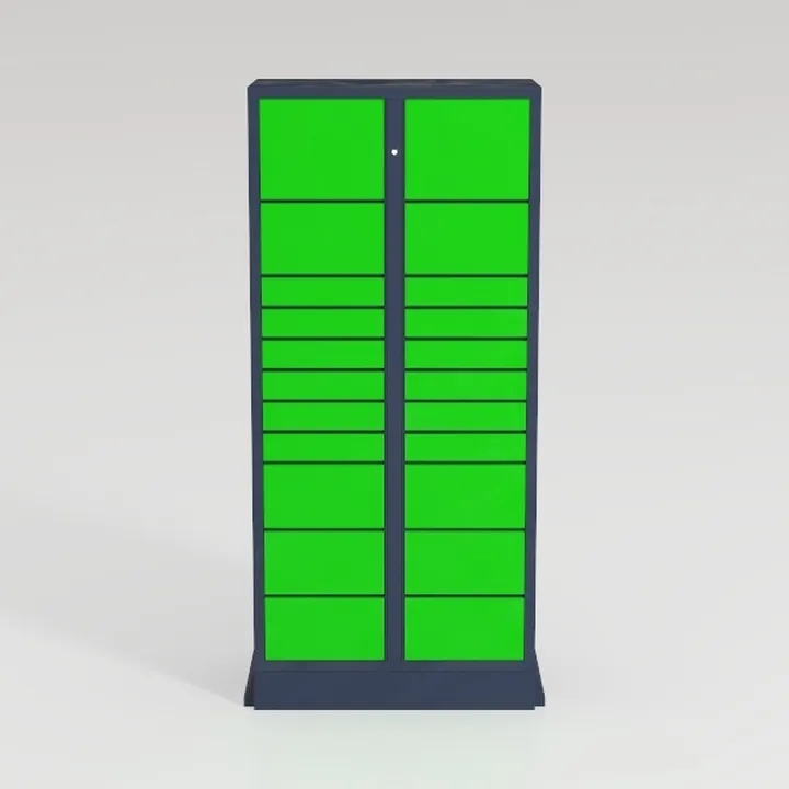 Greenvelly Metal Garage Storage Cabinet with 2