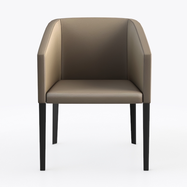 Jerliflyer Lazy Chairs with Metal Legs, Modern Lei