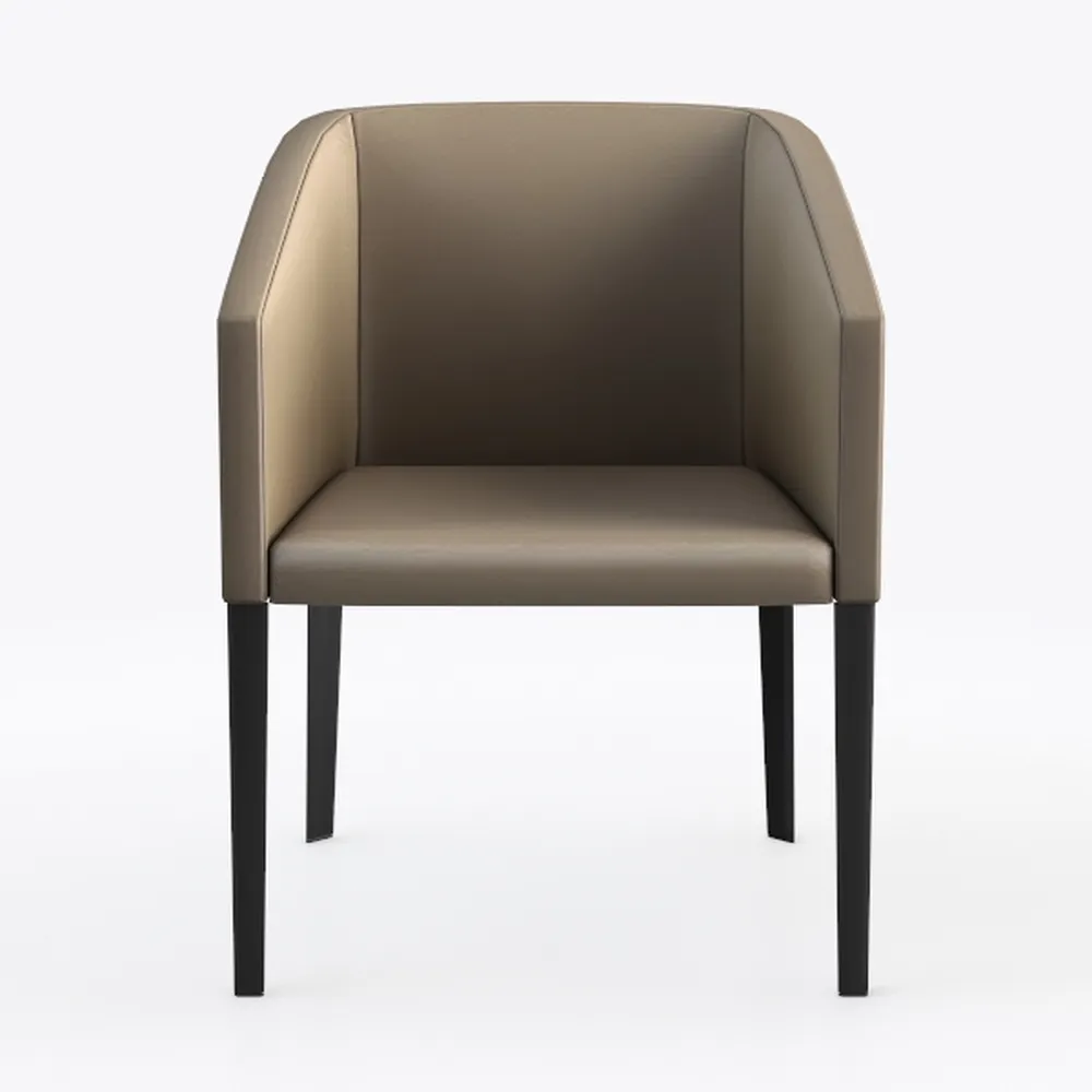 Jerliflyer Lazy Chairs with Metal Legs, Modern Lei