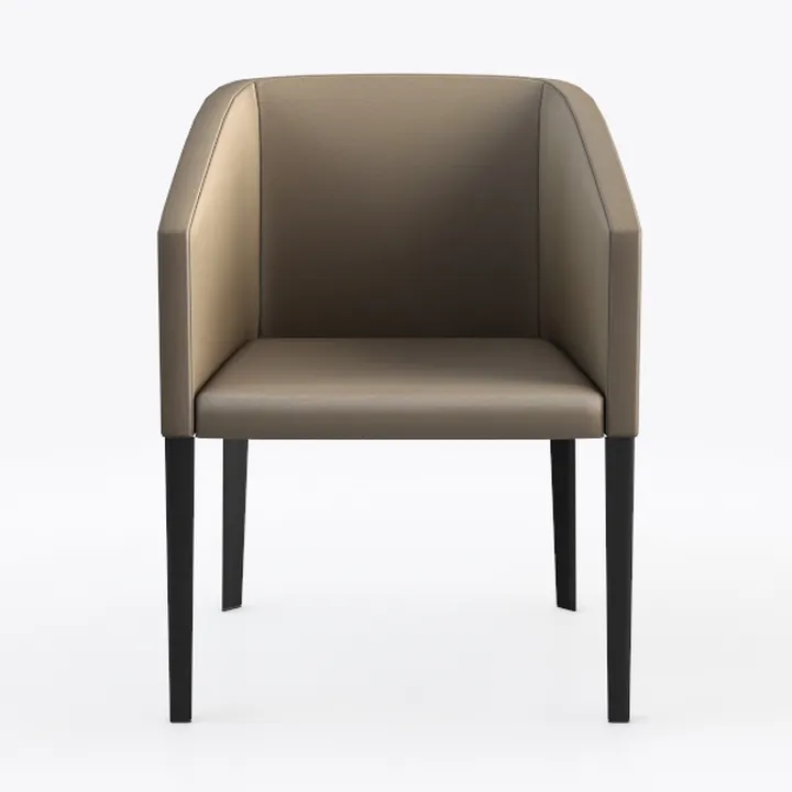 Jerliflyer Lazy Chairs with Metal Legs, Modern Lei