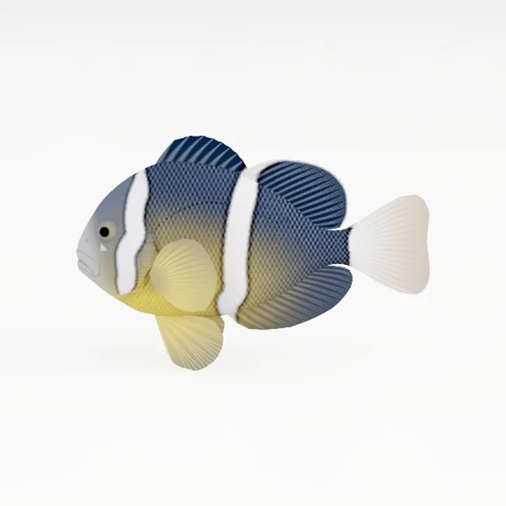 Animal-fish 4