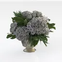 Hollyone White Hydrangeas Floral Arrangement in Right 45 Degree View