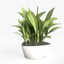 Minimalist Metal Potted Green Plant 3D Model Left 45 Degree View