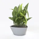 Minimalist Metal Potted Green Plant 3D Model Right 45 Degree View