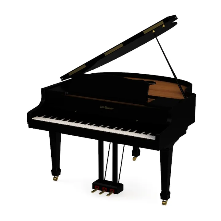 Musical Instrument 497