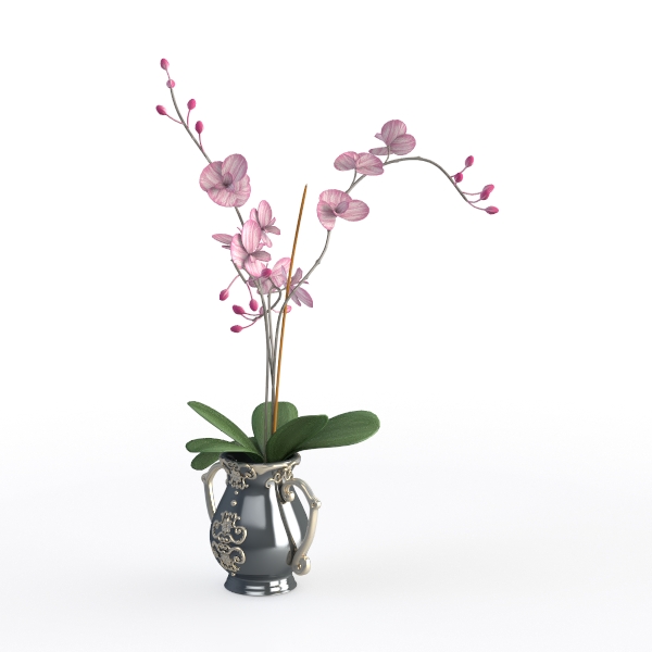 Flower  Green plant k-8