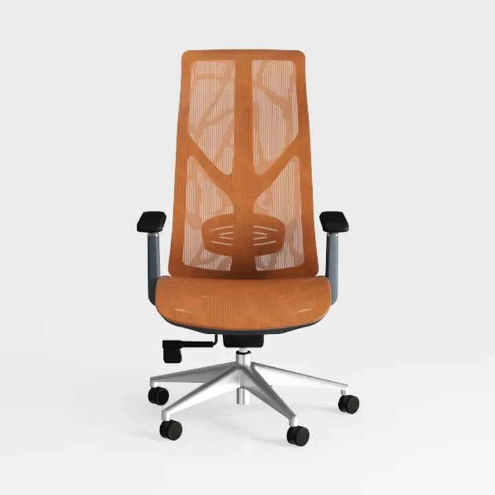 Ergonomic High Back Mesh Office Chair with Footres