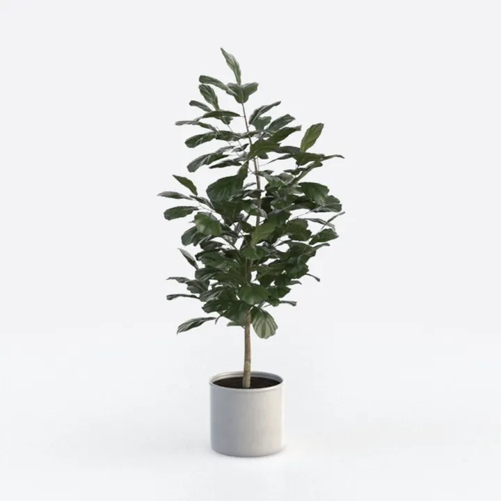 Dracaena Indoor Plant 4ft Tall Faux Plant Indoor L