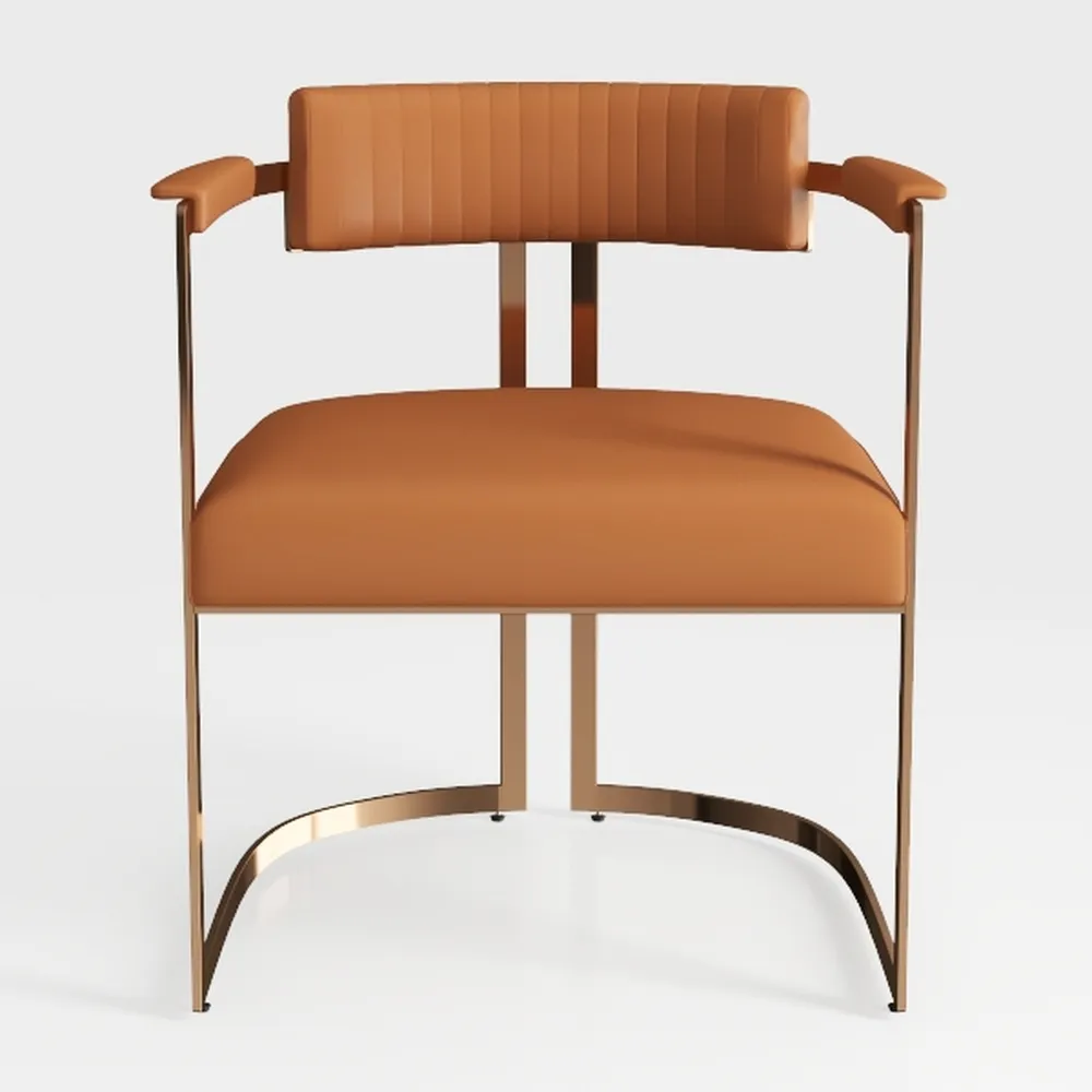 CraftThink Indoor Kitchen Dining Chairs