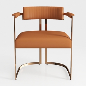 CraftThink Indoor Kitchen Dining Chairs