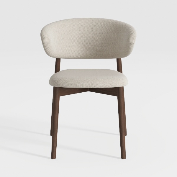 Wooden Dining Chairs Set of 2, Modern Fabric