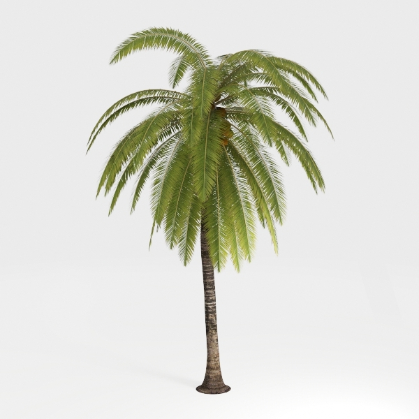 Artificial Phoenix Palm Tree 7ft Tall Outdoor