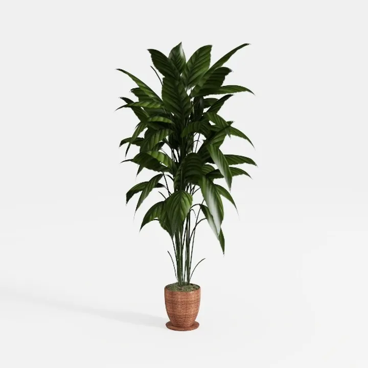 Rattan Woven Pot Artificial Potted Green Leaf Plant 3D Model