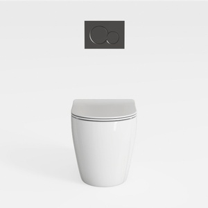 Smart Toilet with Built-in Bidet, One-Piece Bidet