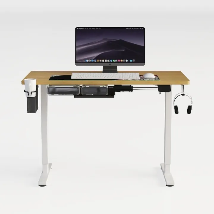 DEVAISE Electric Standing Desk, 55 X 28 Inches