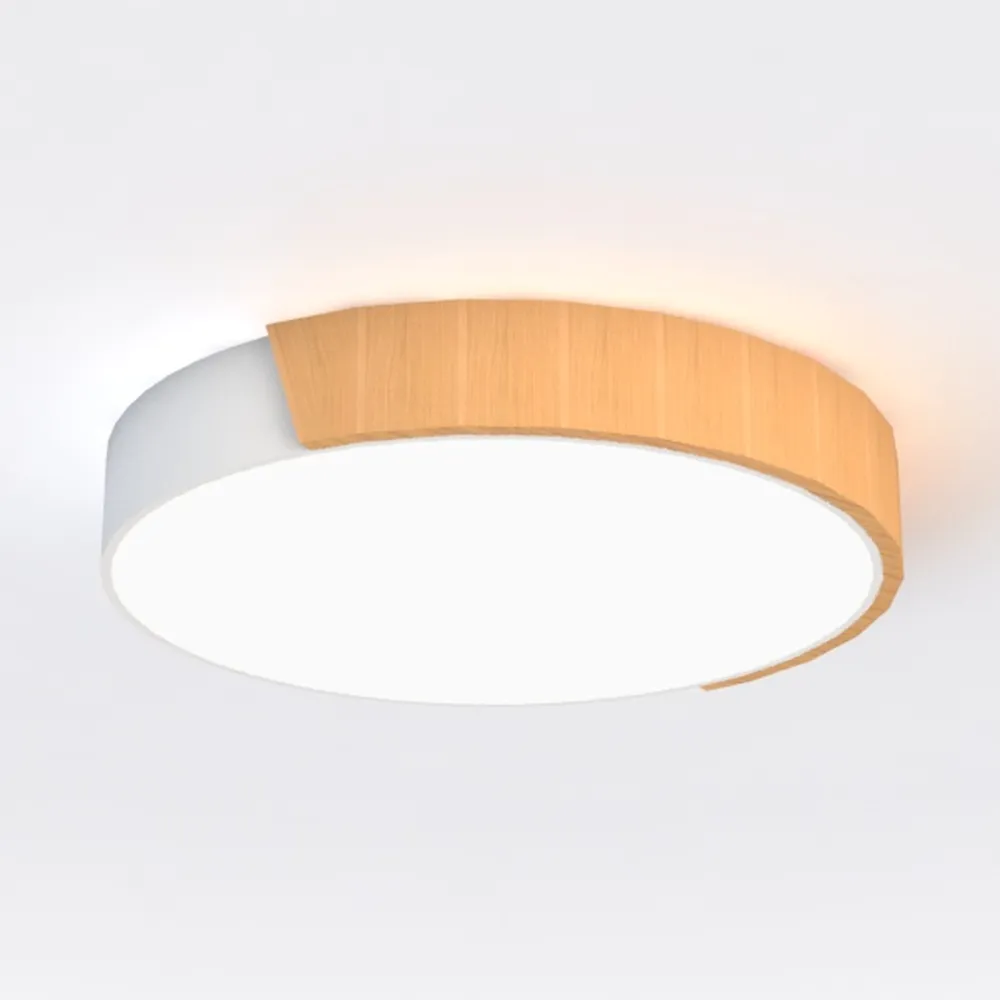 LED Flush Mount Ceiling Light Fixtures 12’’,