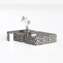 null Left 45 Degree View