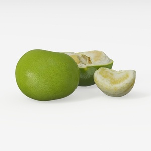 orange-Fruit