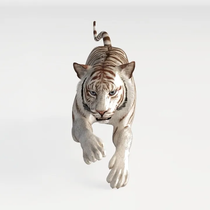 tiger-Wild Kingdom