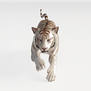 tiger-Wild Kingdom