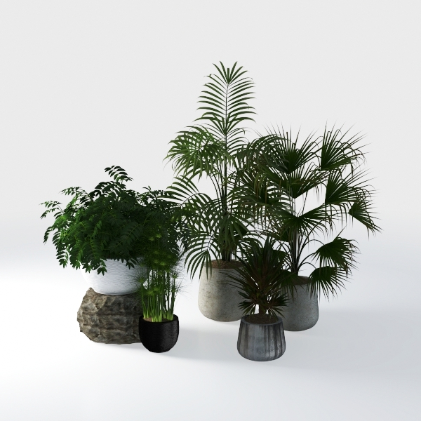 Dracaena Silk Plant Corn Stalk 6ft Tall Faux Plant