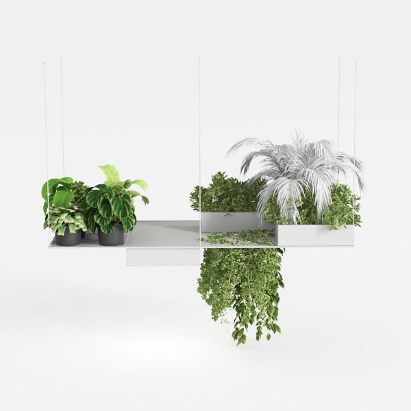 hanging plants-Hanging Greens
